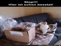 Dieser Karton ist besetzt