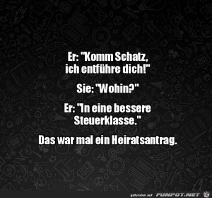 Lustiger-Heiratsantrag.jpg auf www.funpot.net