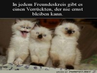 Ein verr�ckter Kumpel