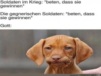 Da kann man nur bl�d gucken