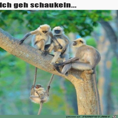 Ich-geh-schaukeln.jpg von Runa