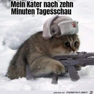 Mein-Kater.jpg von Leander