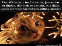 Was f�r eine Bewunderung