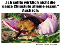 Die ganze Chipstte alleine essen