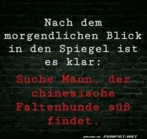Spiegelblick-und-der-ideale-Mann.jpg auf www.funpot.net