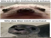 Lustiger Vergleich: Ich und das Bier im K�hlschrank