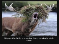 Wenn der neue Look schiefgeht