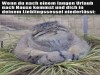 weiter