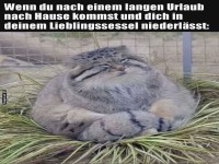 Wenn die Couch wie Urlaub aussieht