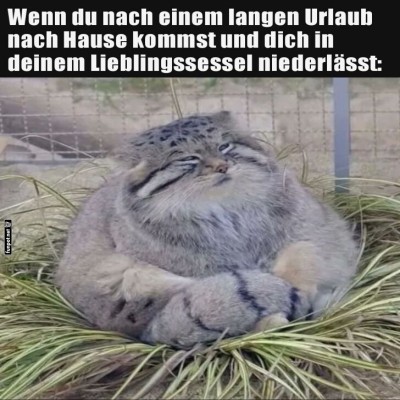 Wenn-die-Couch-wie-Urlaub-aussieht.jpg von Jolie1976