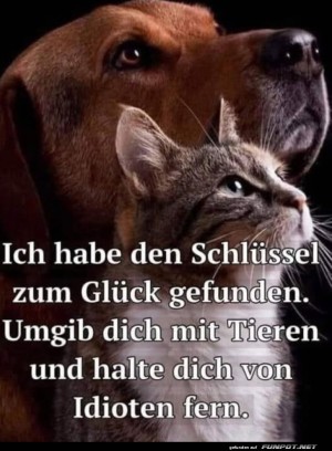 Tierische-Weisheit:-Gl�ck-finden-leicht-gemacht.jpg auf www.funpot.net