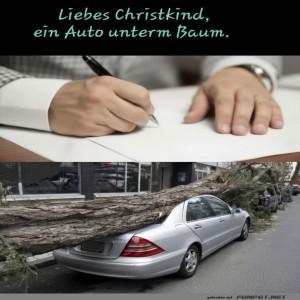 Weihnachtswunsch-mit-Hindernissen.jpg von Tarik1967