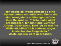 Ich hasse es, wenn einfach so eine Spinne neben mir...