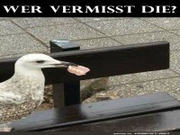 Wer vermisst seine Z�hne?