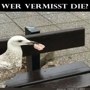 Wer-vermisst-seine-Z�hne?.jpg von Valentina