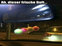 Wenn der Frischekick einzieht!