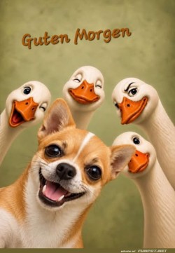 Quakende-Kollegen-und-ein-strahlender-Hund.jpg auf www.funpot.net