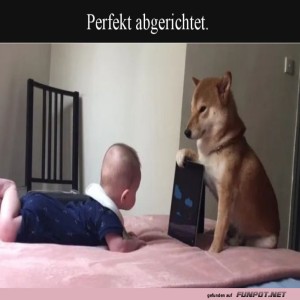Baby-TV:-Hundelehrer-im-Einsatz!.jpg von Elijas1995
