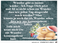 Wunder gibt es immer