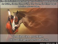 Indianische Weisheit