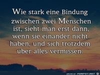 wie stark eine Bindung ist 