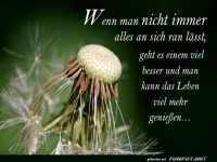 -wenn-man-nicht-immer-alles-an-sich......