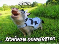 Schnen Donnerstag