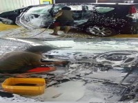 Gr�ndliche Reinigung