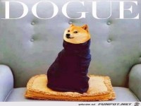 Neue Zeitschrift mit Hund