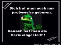 K�nnte man so sehen....