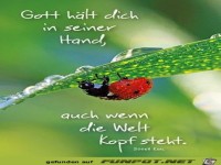 Gott hlt dich in seiner Hand...