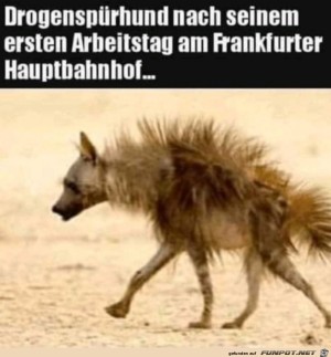 Harter-Job.jpg auf www.funpot.net