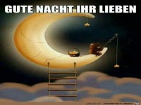 gute Nacht