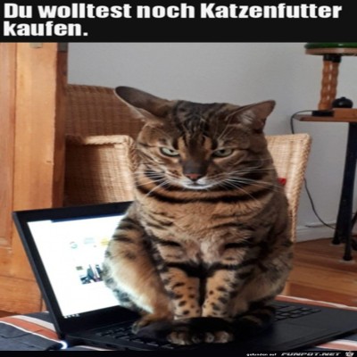 Ernster-Blick.jpg von Finn