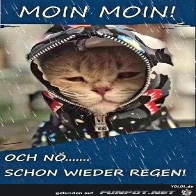 och-noe.jpg von Keule56