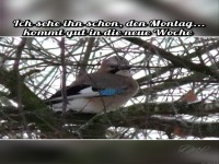 Montag, kommt gut in die neue Woche.Despina