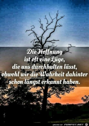 Die-Hoffnung-ist-oft-eine-Lge.jpg auf www.funpot.net