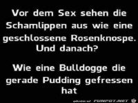 Vor dem Sex