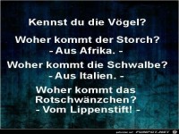 V�gel