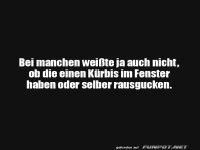 Ein K�rbis