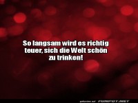 Es wird teuer, die Welt sch�n zu trinken