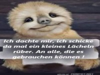 Ein Lcheln vom Faultier