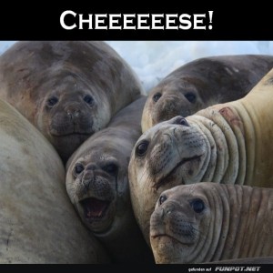 Cheese.jpg von Gregor