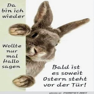 Hoppla!-Der-Ostern-Vorfreude-Bote-ist-da!.jpg von Kurt1978