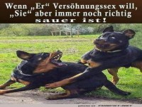 Pfoten weg