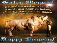 Stier-starke Motivation am Dienstagmorgen!