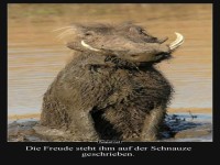 Wenn das Wellness-Matschbad begeistert