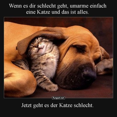 Kuschelabenteuer-mit-Hindernissen.jpg von Justus2002