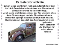 Mein rotsiges Auto