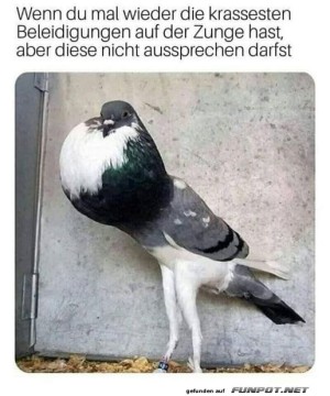 Es-liegt-mir-viel-auf-der-Zunge.jpg auf www.funpot.net